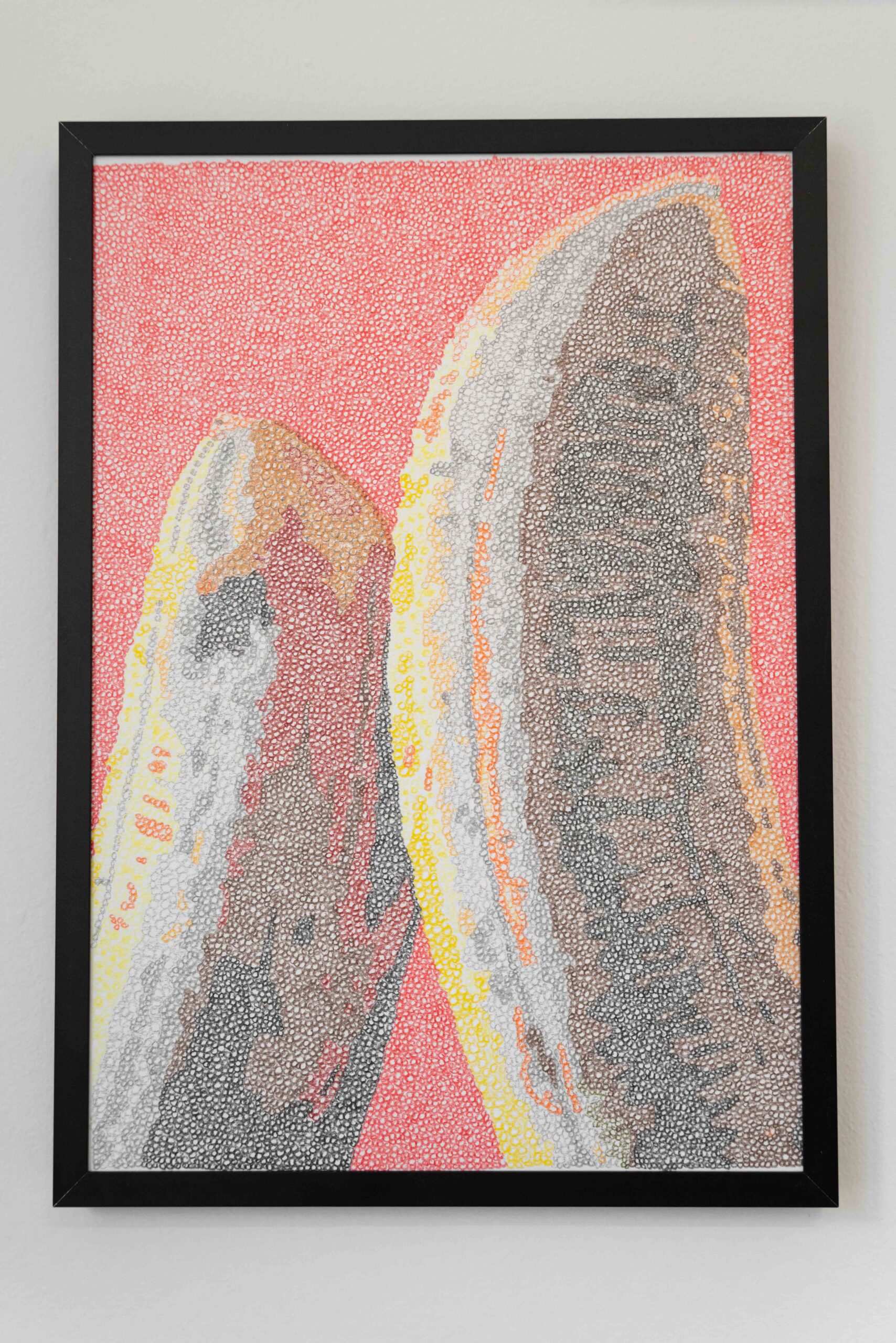 Michele Menghini - Polpa