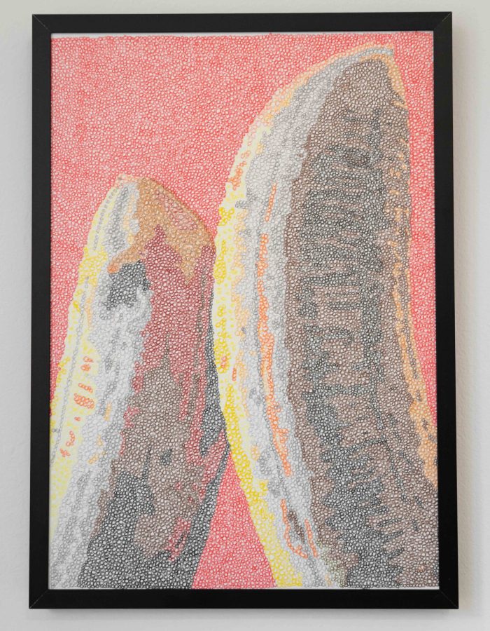 Michele Menghini - Polpa